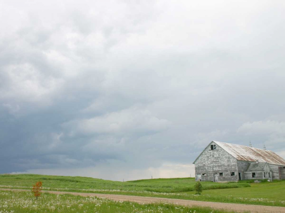 Barn Scape I