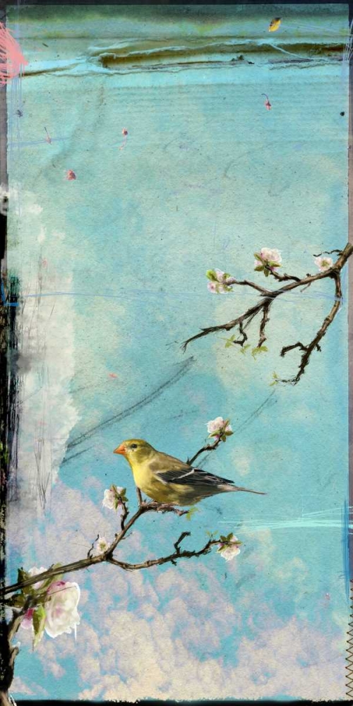 Bird Window II