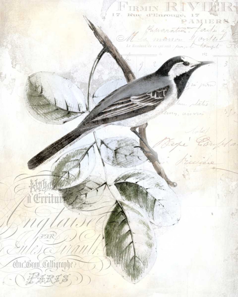 Rustic Gould I