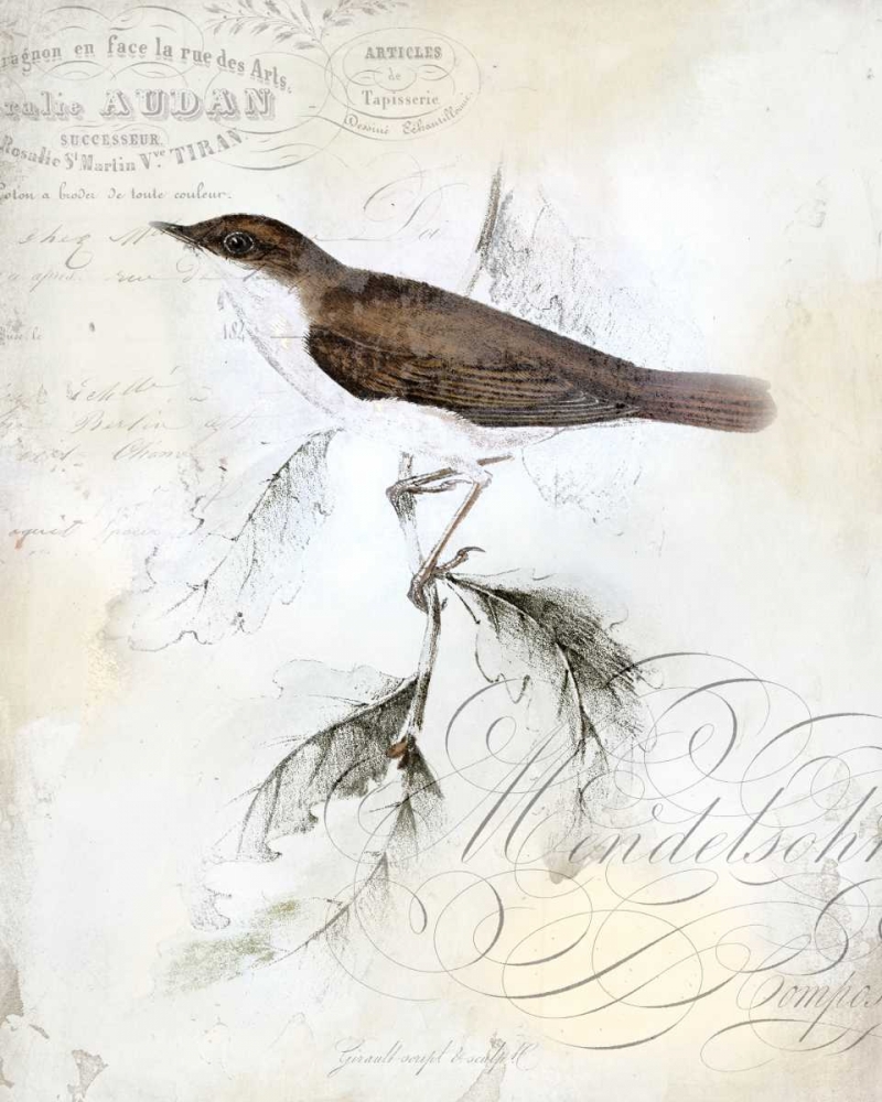 Rustic Gould II