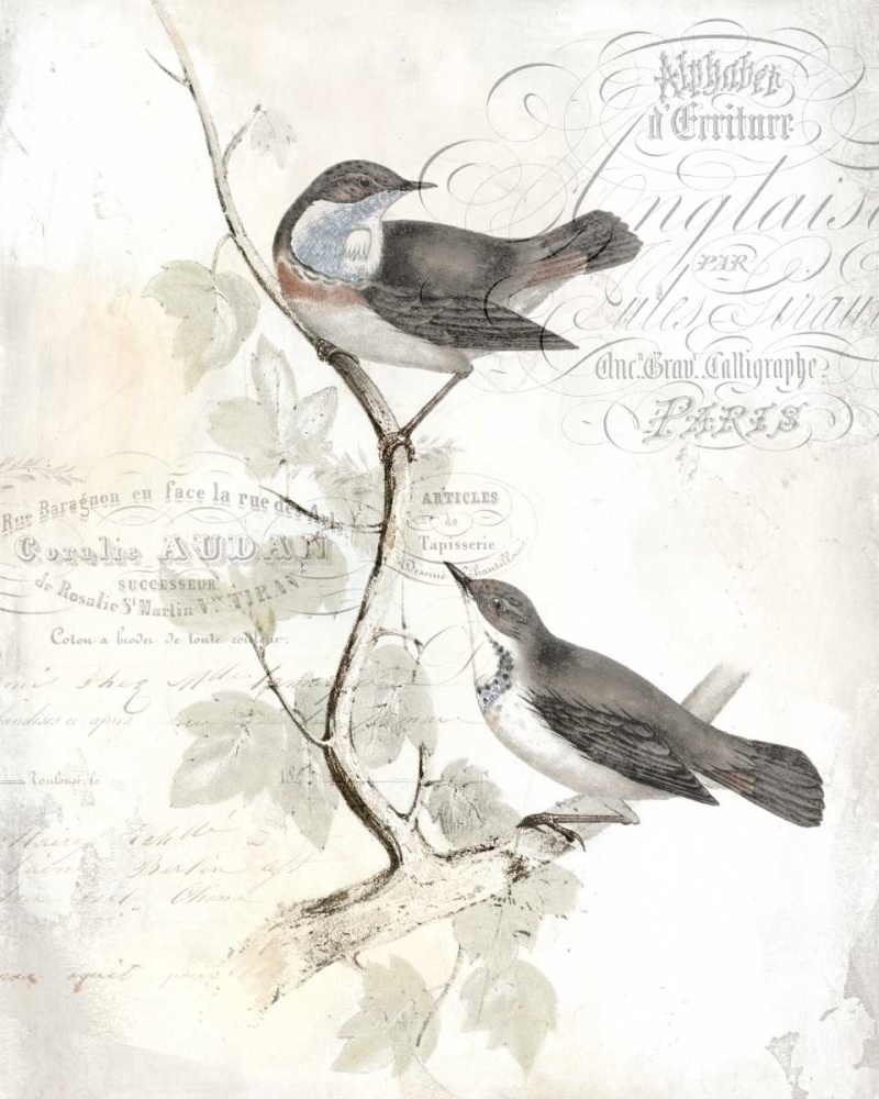 Rustic Gould IV