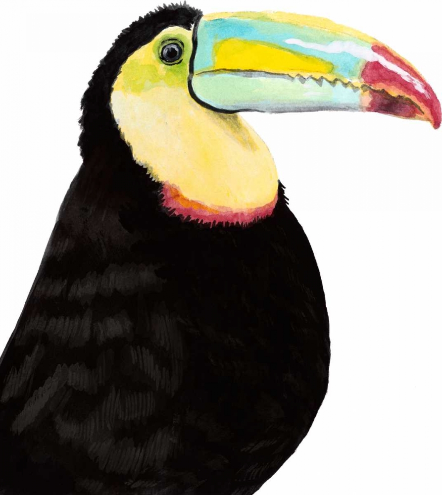 Watercolor Toucan