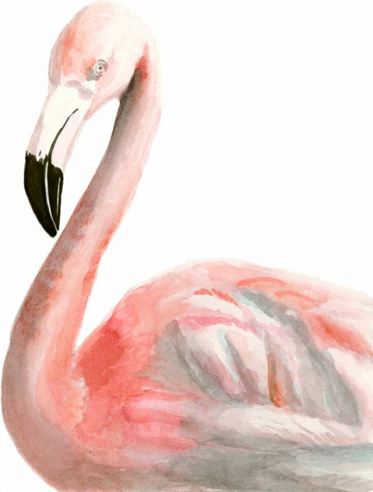 Watercolor Flamingo