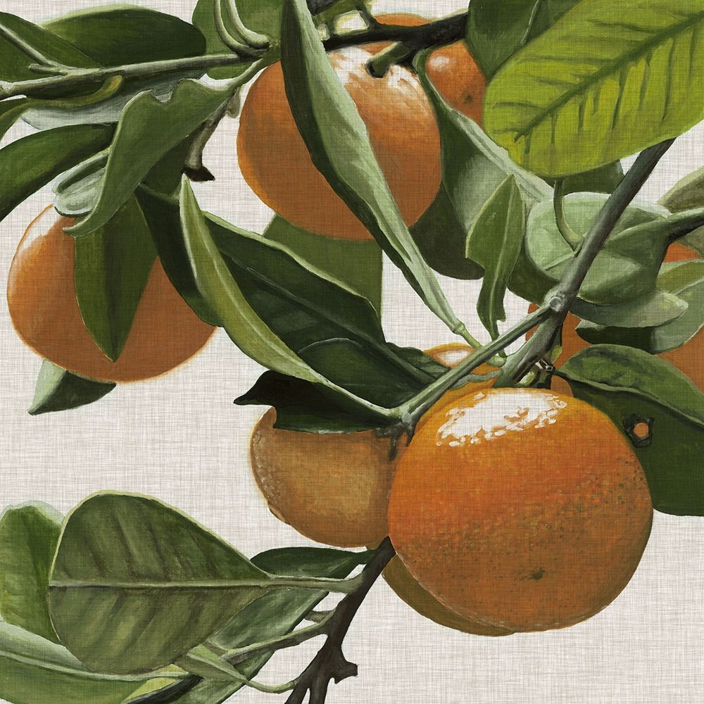 Bright Citrus I