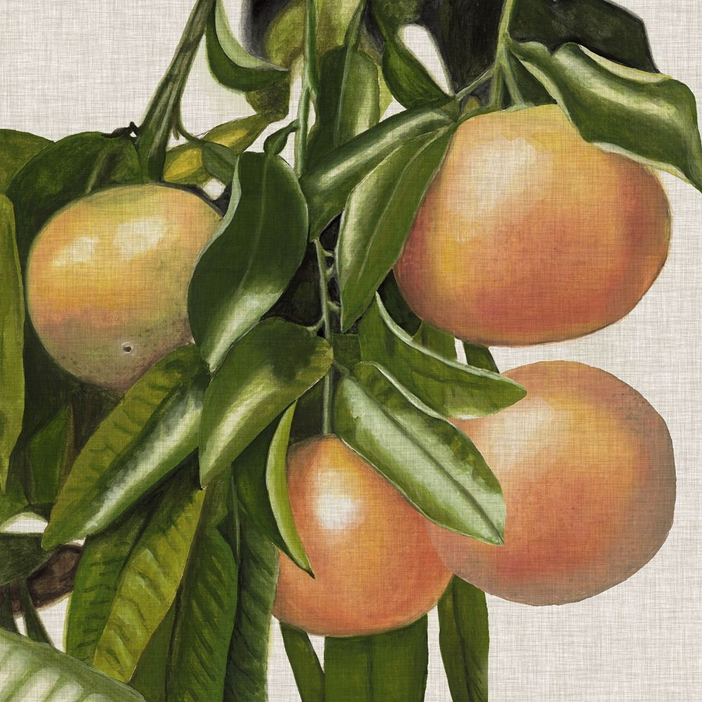 Bright Citrus II