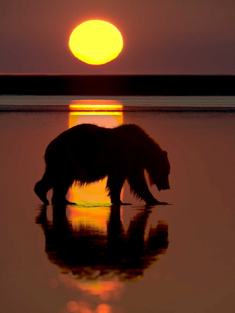 Bears at Play I