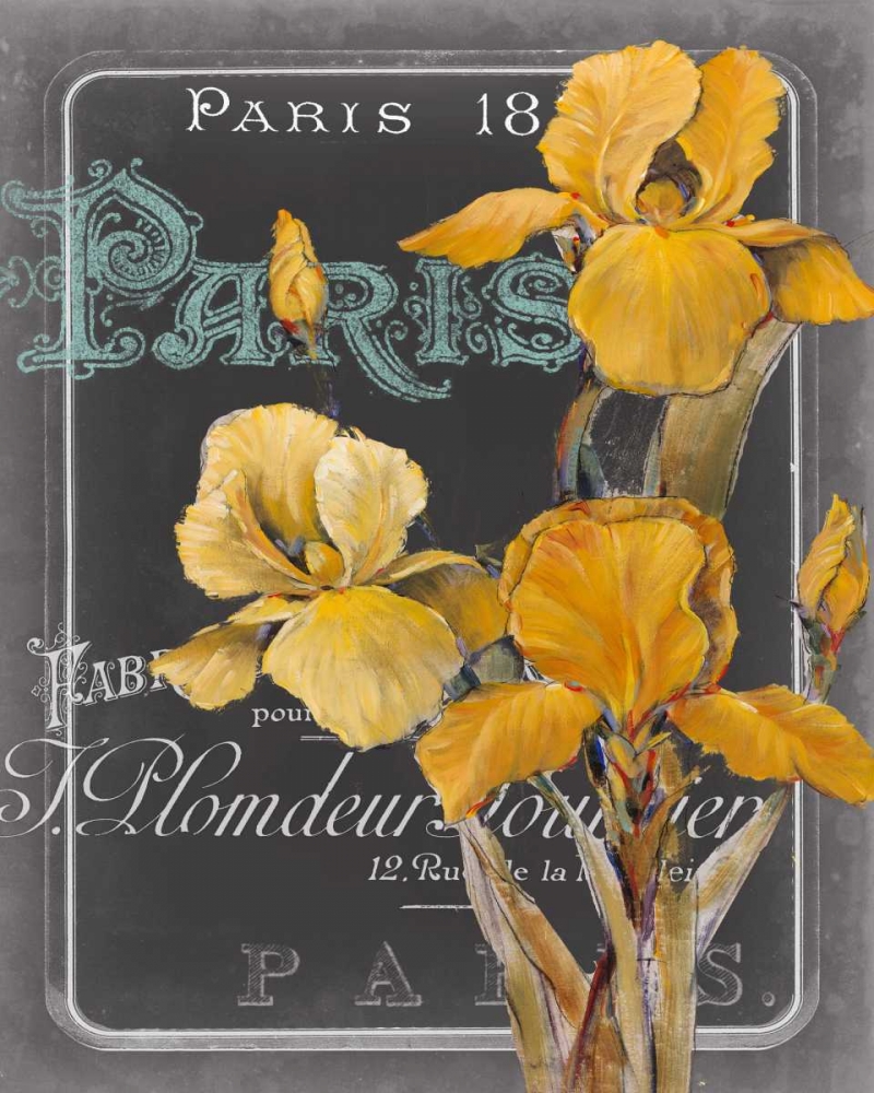 Chalkboard Paris IV