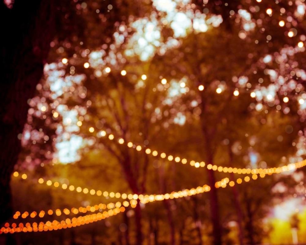 Summer Trees I