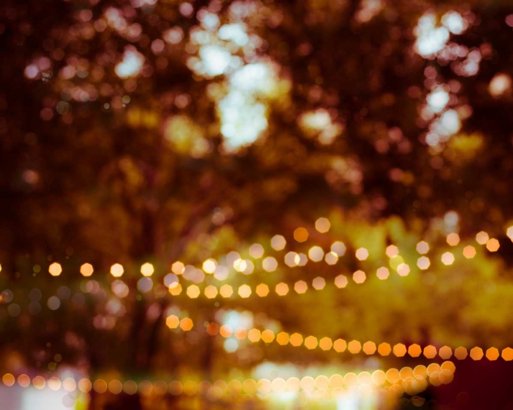 Summer Trees II