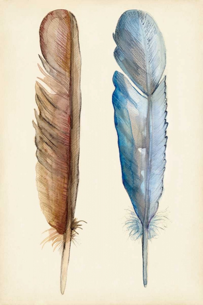 Plumage I