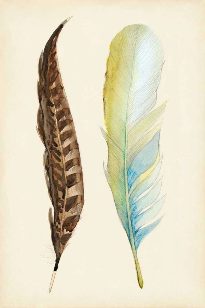 Plumage II