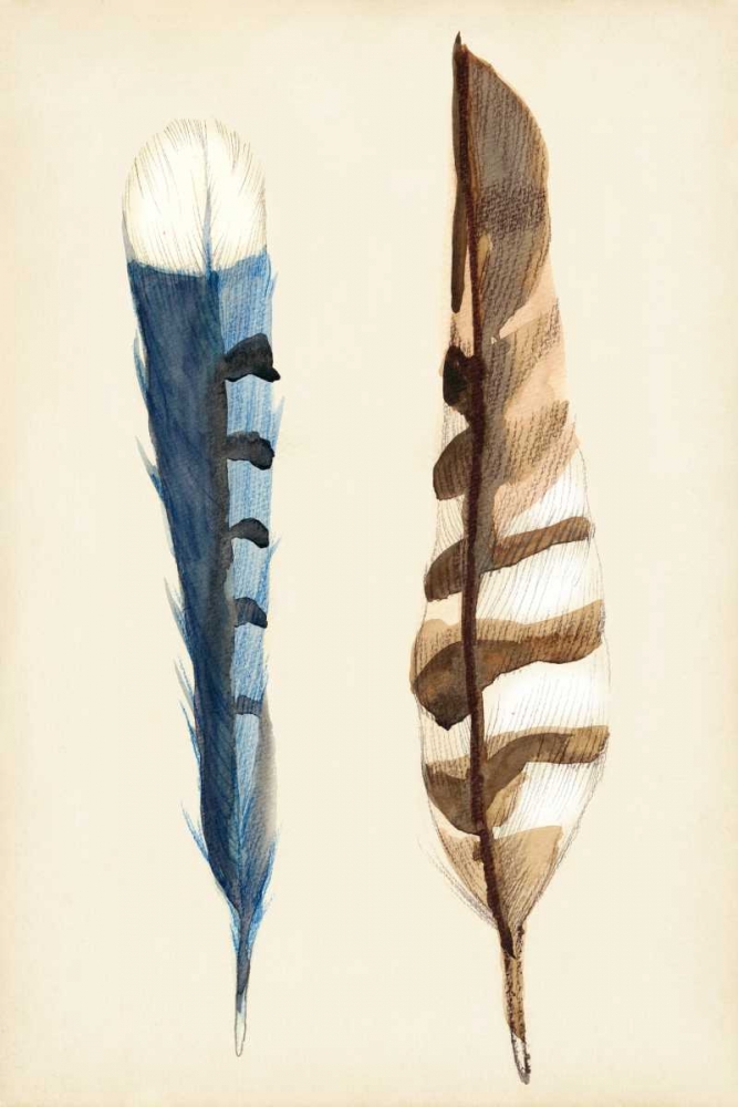 Plumage III