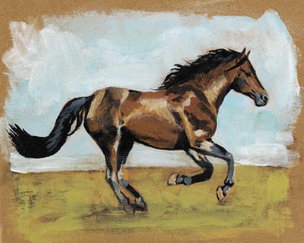 Equestrian Studies I