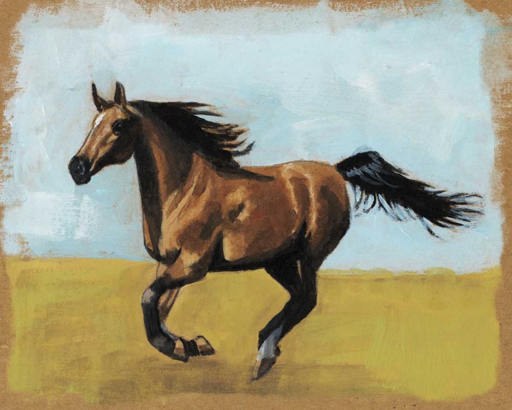 Equestrian Studies II