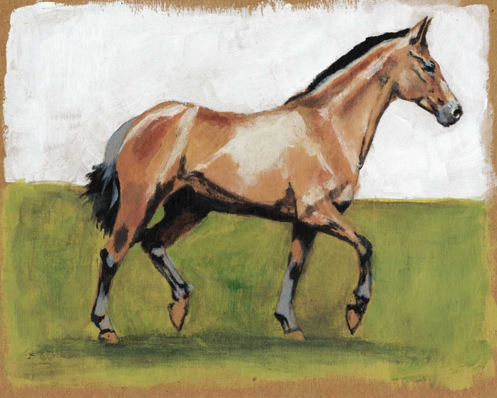 Equestrian Studies III