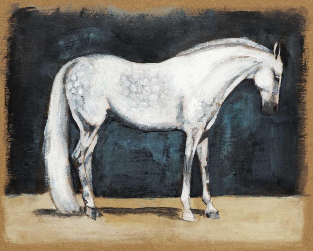 Equestrian Studies V