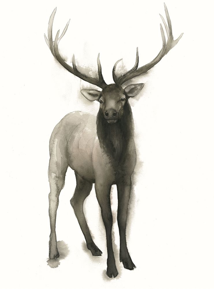 Custom Majestic Wildlife II (ASH)