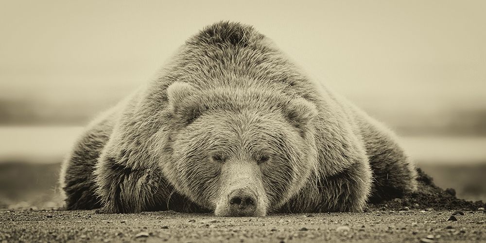 Deep Sleep (ASH)