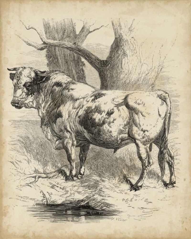 Pastoral Sketch II