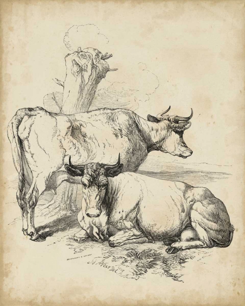 Pastoral Sketch III