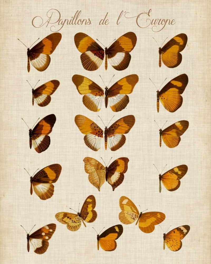 Papillons de LEurope I