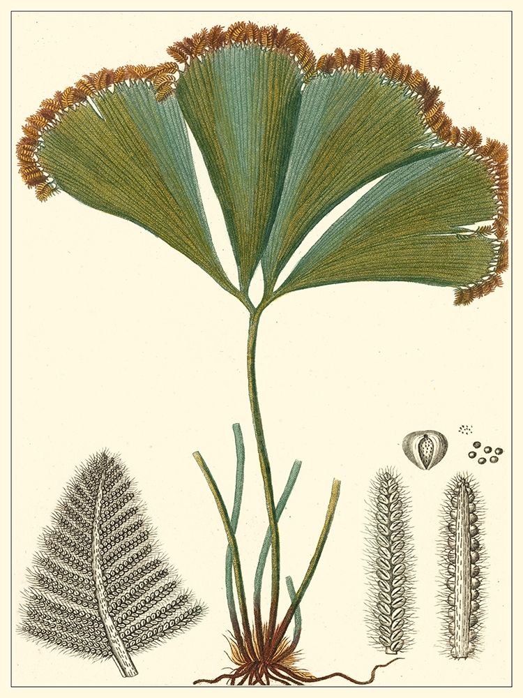 Small Foliage Botanique I
