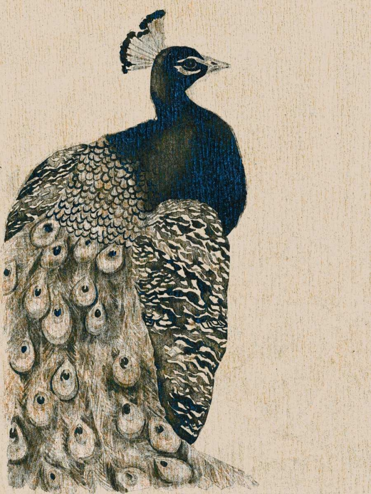 Textured Peacock I
