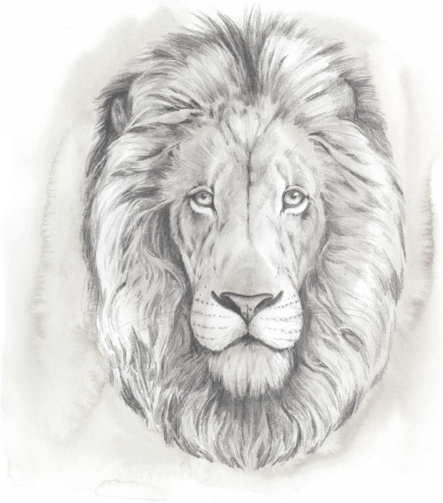 Big Cat Study III