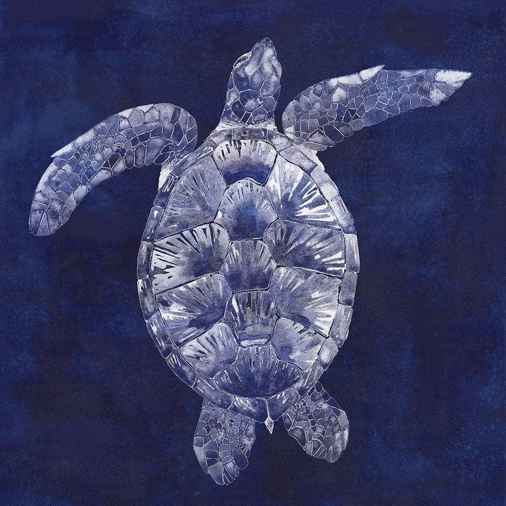 Custom Sea Turtle Shadow II (ASH)