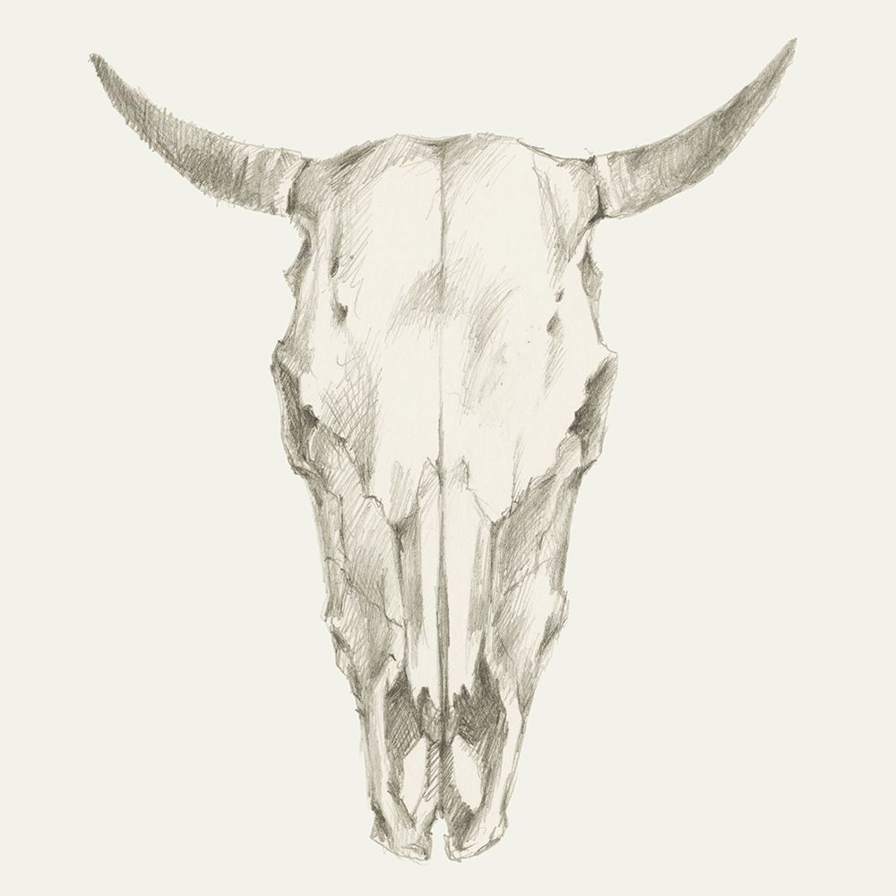 Custom Western Skull Mount I (ASH)