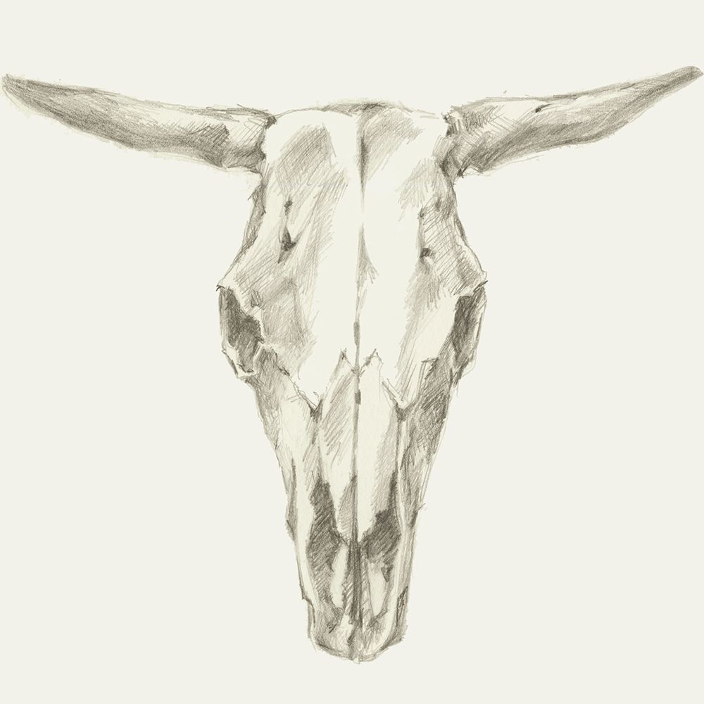 Custom Western Skull Mount II (ASH)