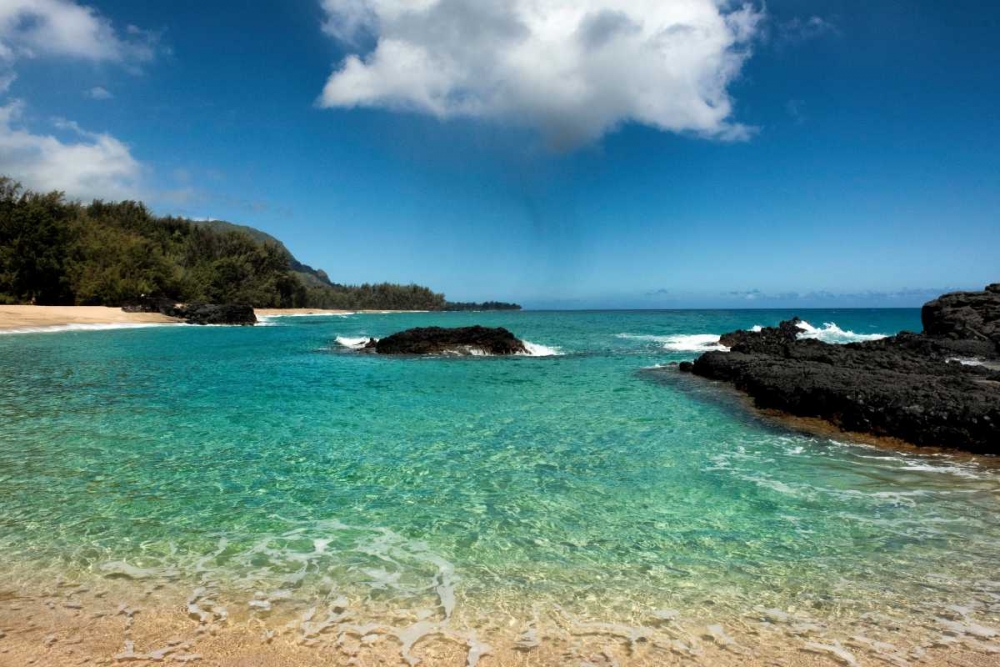 Paradise