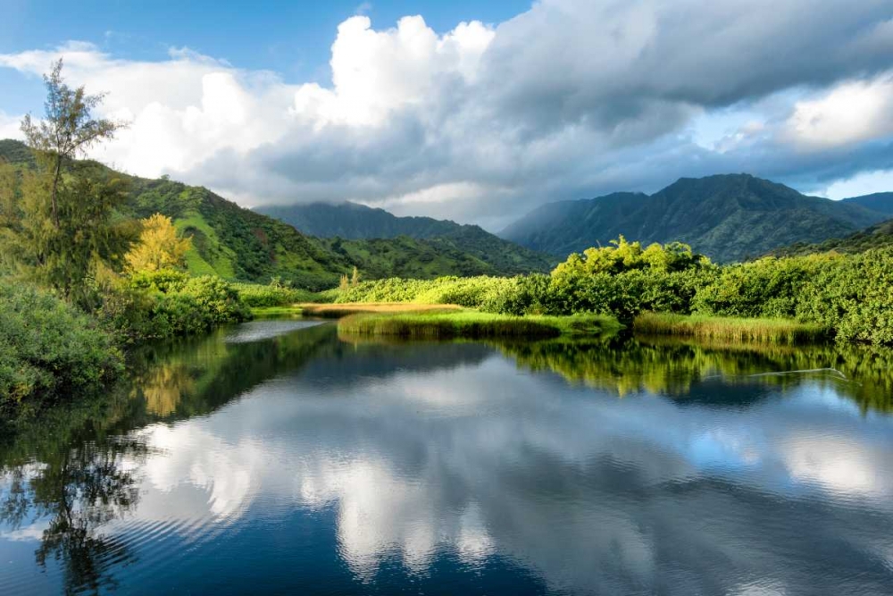 Cloud Reflections I