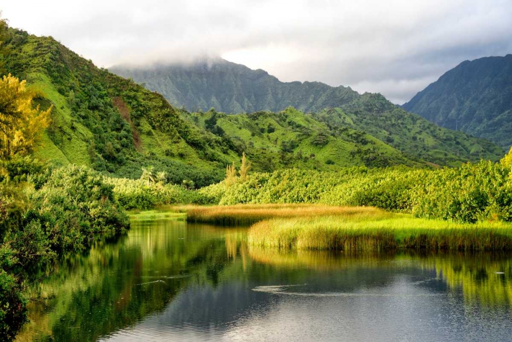 Coastal Marsh I