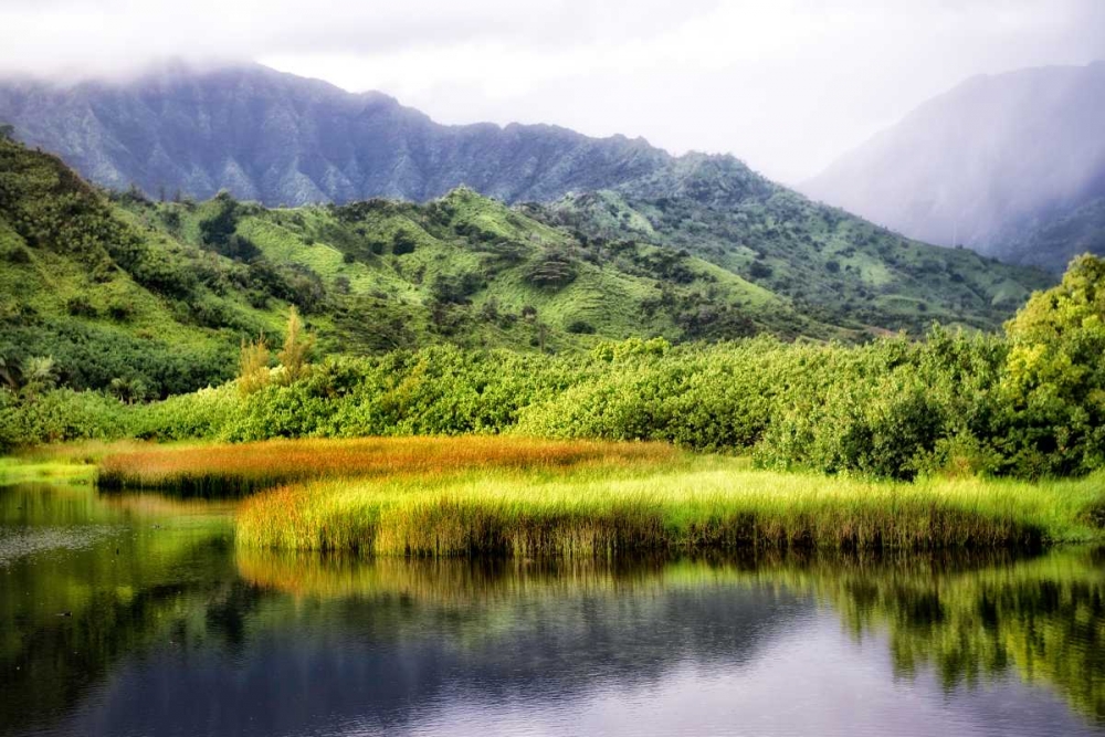 Coastal Marsh II