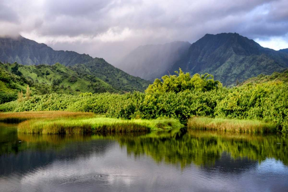 Coastal Marsh III