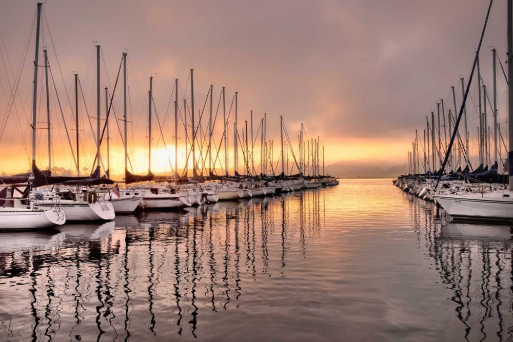 At First Light