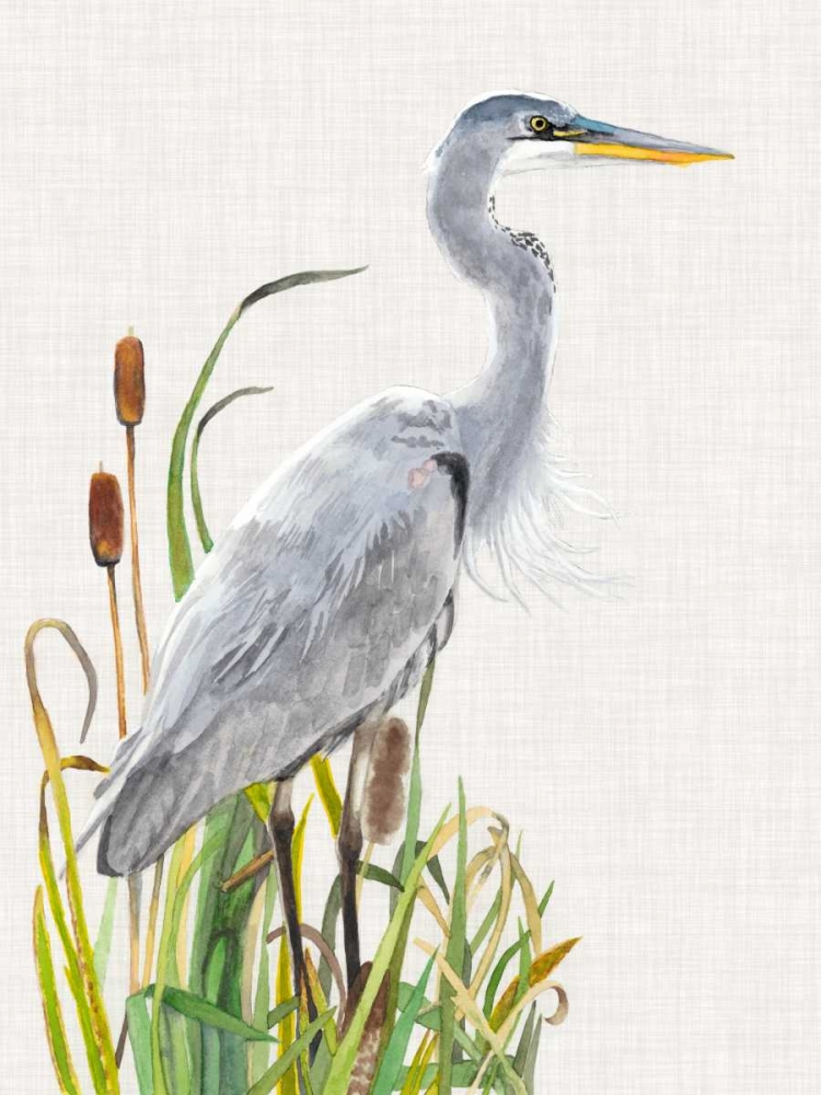 Waterbirds and Cattails I