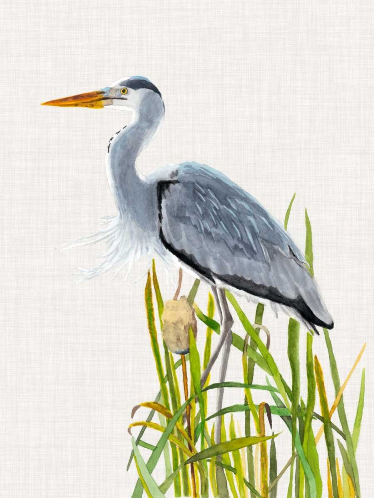 Waterbirds and Cattails II