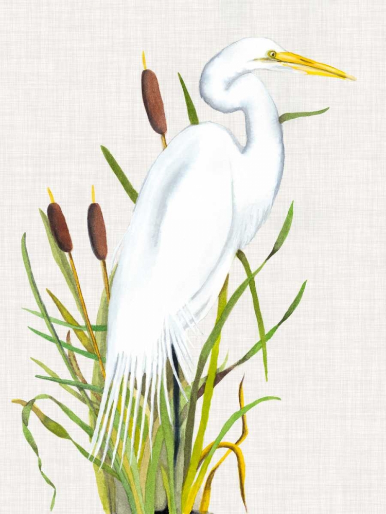 Waterbirds and Cattails III