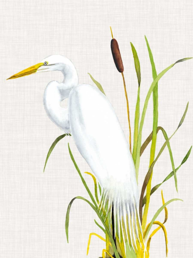 Waterbirds and Cattails IV