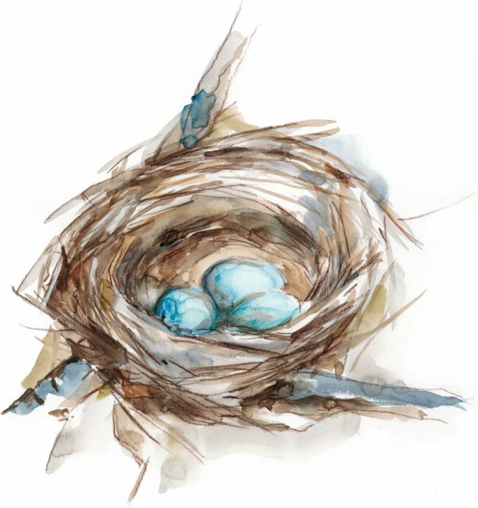 Bird Nest Study II
