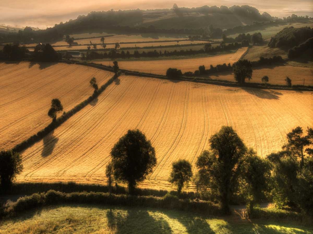Ireland Overlook