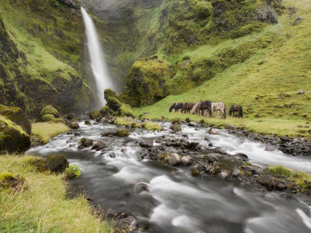 Waterfall Horses I