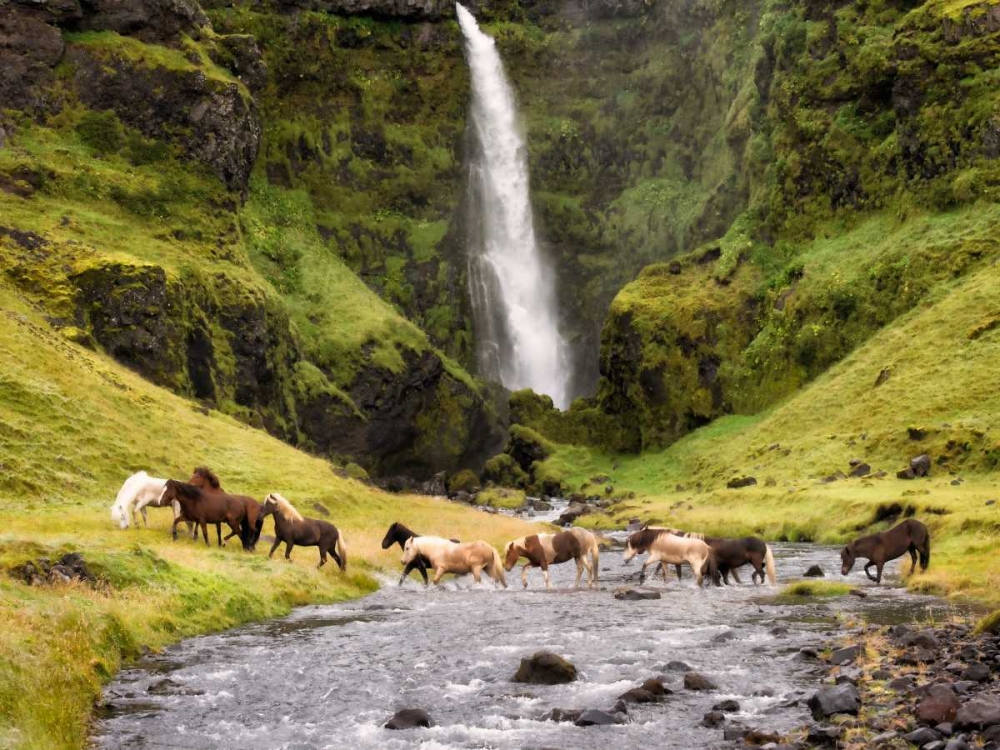 Waterfall Horses II