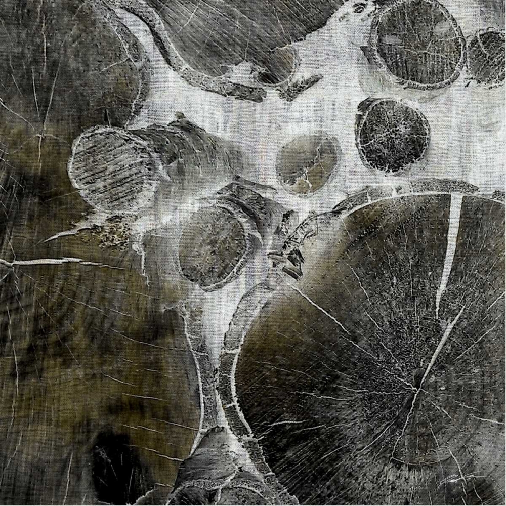 Logging III