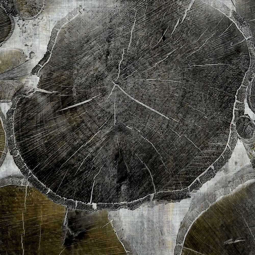 Logging IV
