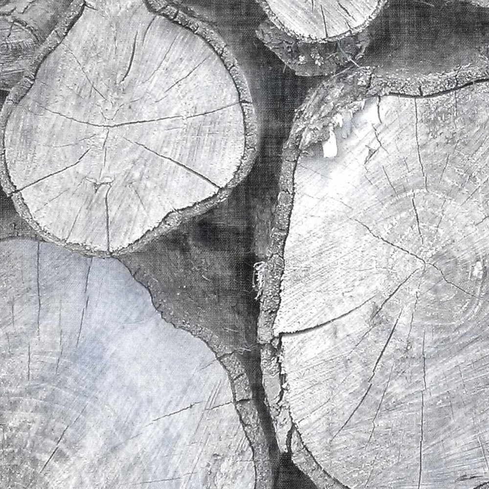 Logging Light II