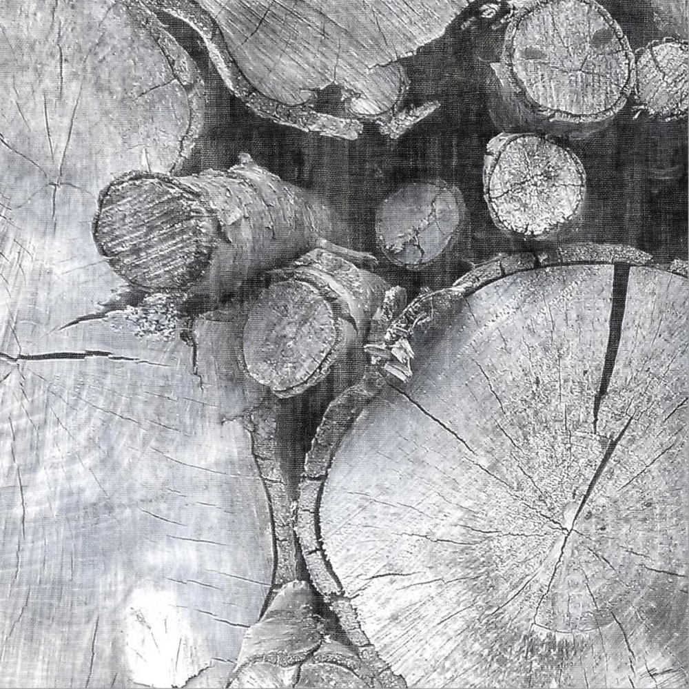 Logging Light III