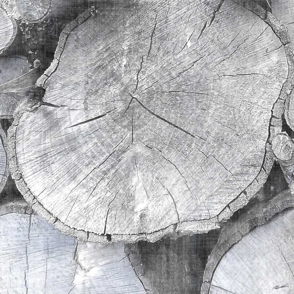 Logging Light IV